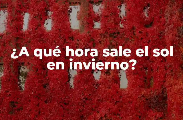 ¿a Qué Hora Sale el Sol en Invierno?
