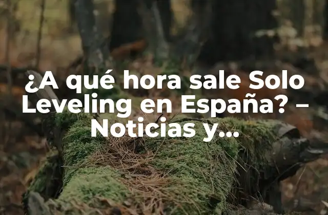 ¿a Qué Hora Sale Solo Leveling en España? – Noticias y Actualizaciones