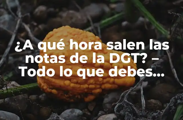 ¿Cuál es el proceso para obtener una nota de la DGT?