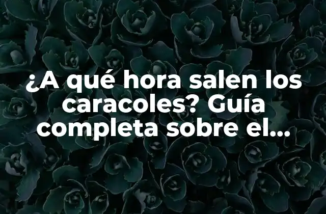 ¿a Qué Hora Salen los Caracoles? Guía Completa sobre el Comportamiento de los Caracoles
