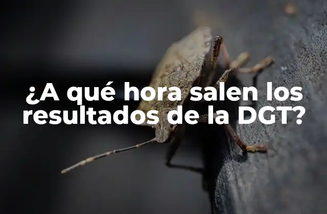 ¿a Qué Hora Salen los Resultados de la Dgt?