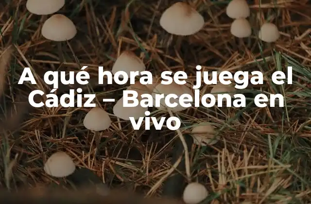 A Qué Hora Se Juega el Cádiz - Barcelona en Vivo 2 Importancia del partido Cádiz - Barcelona