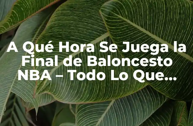 A Qué Hora Se Juega la Final de Baloncesto Nba – Todo Lo que Necesitas Saber