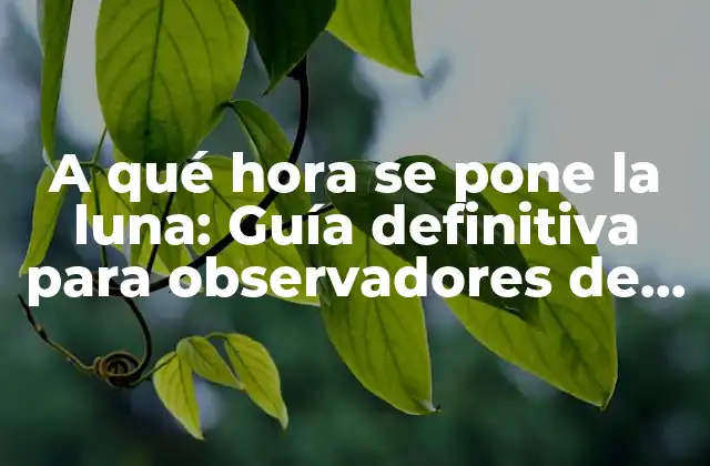 A Qué Hora Se Pone la Luna: Guía Definitiva para Observadores de la Luna
