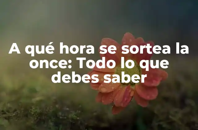 A Qué Hora Se Sortea la Once: Todo Lo que Debes Saber