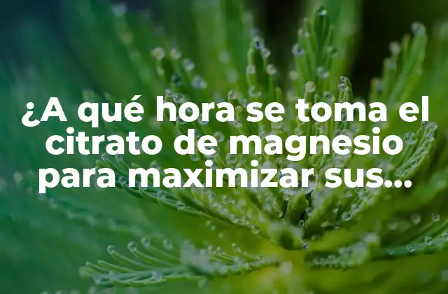 ¿Cuál es el papel del citrato de magnesio en el cuerpo?