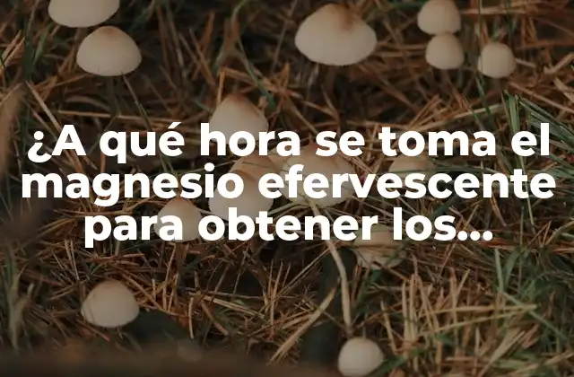 ¿a Qué Hora Se Toma el Magnesio Efervescente para Obtener los Mejores Resultados?