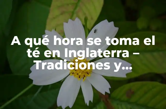 A Qué Hora Se Toma el Té en Inglaterra – Tradiciones y Costumbres