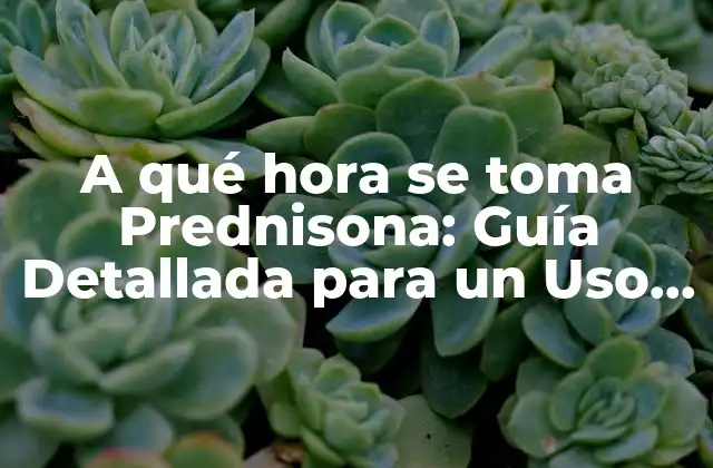 A Qué Hora Se Toma Prednisona: Guía Detallada para un Uso Efectivo