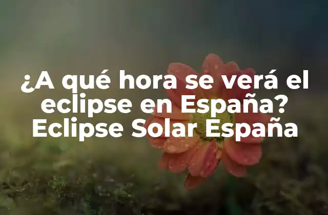 ¿a Qué Hora Se Verá el Eclipse en España? Eclipse Solar España