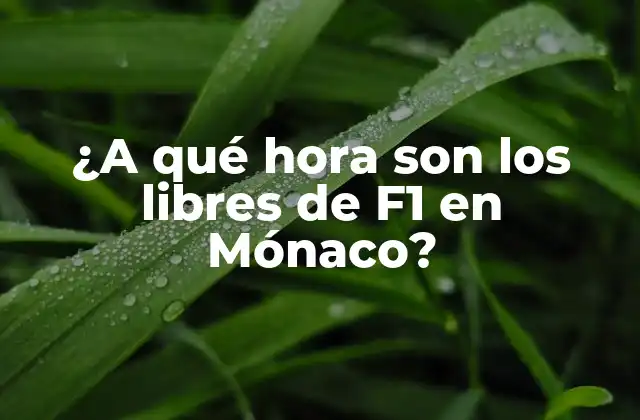 ¿a Qué Hora Son los Libres de F1 en Mónaco?