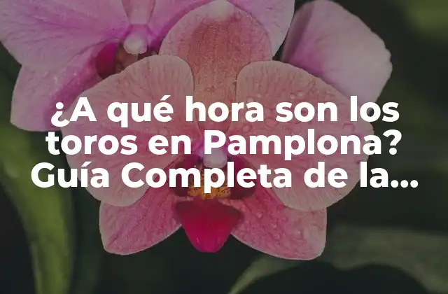 ¿a Qué Hora Son los Toros en Pamplona? Guía Completa de la Fiesta de San Fermín