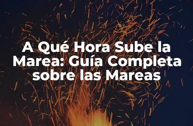 A Qué Hora Sube la Marea: Guía Completa sobre las Mareas
