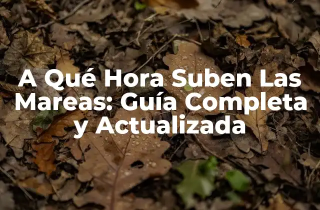 A Qué Hora Suben las Mareas: Guía Completa y Actualizada