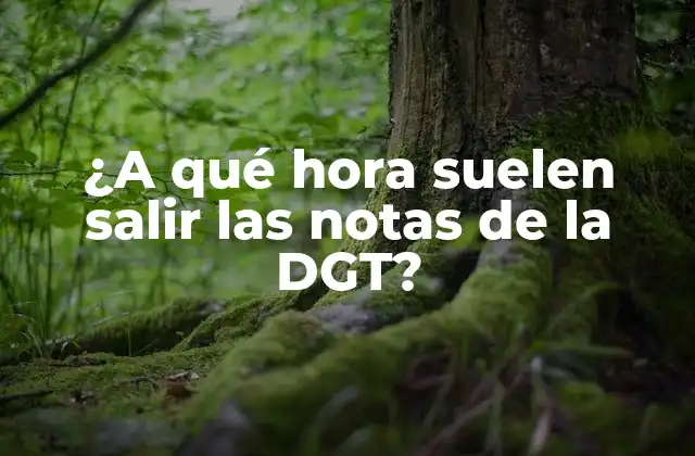 ¿Cómo se emiten las notas de la DGT?