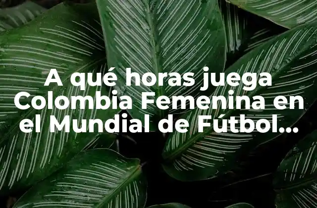 A Qué Horas Juega Colombia Femenina en el Mundial de Fútbol Femenino