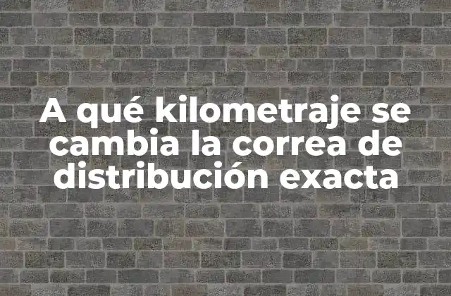 A Qué Kilometraje Se Cambia la Correa de Distribución Exacta
