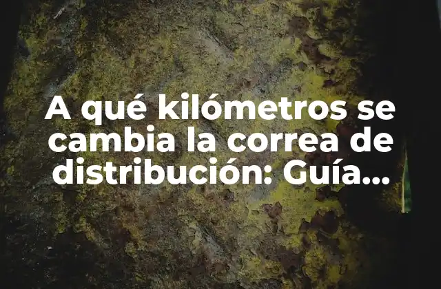 ¿Qué es la correa de distribución y cómo funciona?
