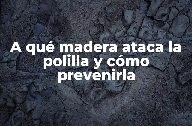 A Qué Madera Ataca la Polilla y Cómo Prevenirla 2 Tipos de madera que ataca la polilla