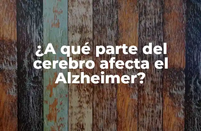 ¿a Qué Parte Del Cerebro Afecta el Alzheimer?