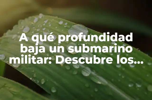 La importancia de la profundidad en la guerra submarina