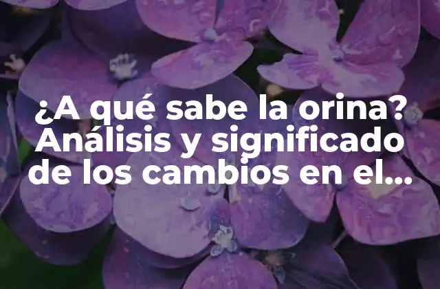 ¿a Qué Sabe la Orina? Análisis y Significado de los Cambios en el Olor y el Color