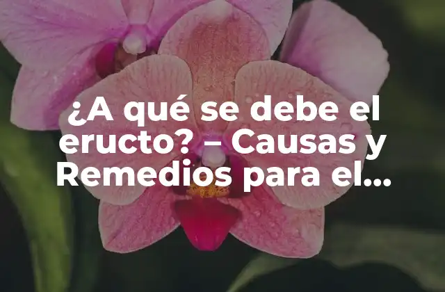 ¿a Qué Se Debe el Eructo? – Causas y Remedios para el Eructo