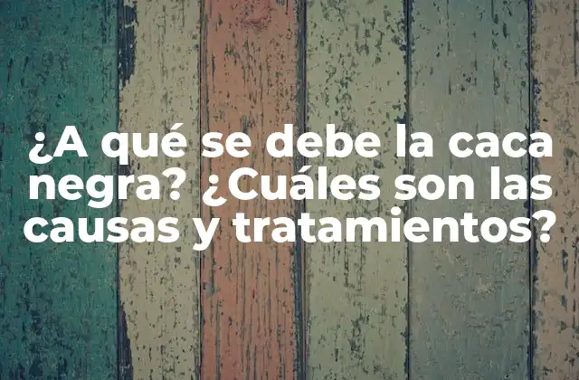 ¿a Qué Se Debe la Caca Negra? ¿cuáles Son las Causas y Tratamientos?