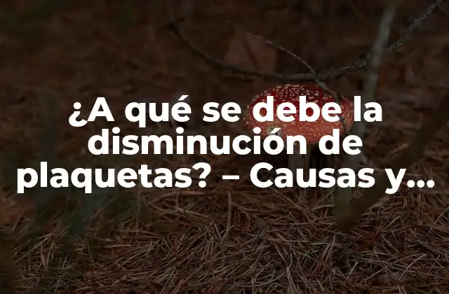 ¿a Qué Se Debe la Disminución de Plaquetas? – Causas y Consecuencias