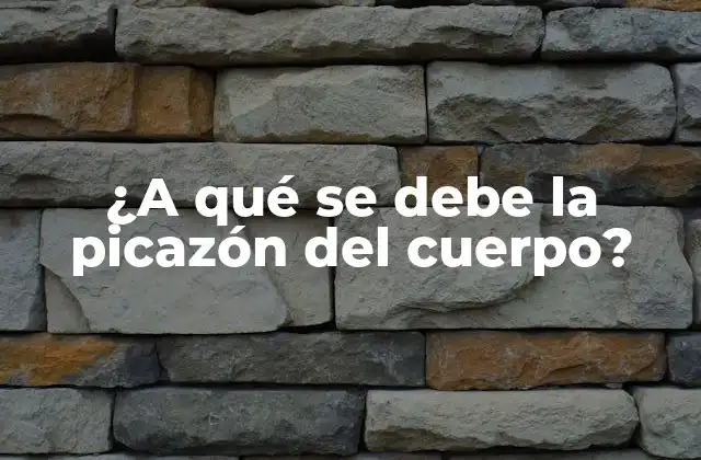 ¿a Qué Se Debe la Picazón Del Cuerpo?