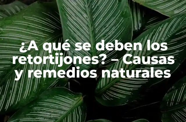 ¿a Qué Se Deben los Retortijones? – Causas y Remedios Naturales