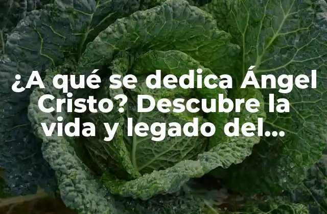 ¿a Qué Se Dedica Ángel Cristo? Descubre la Vida y Legado Del Artista