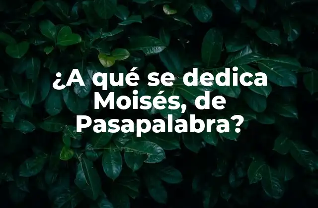 ¿a Qué Se Dedica Moisés, de Pasapalabra?