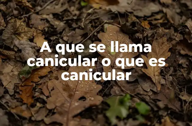 A que Se Llama Canicular o que es Canicular