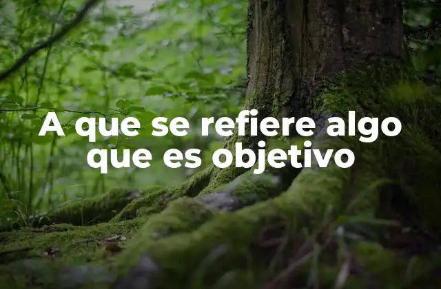 A que Se Refiere Algo que es Objetivo