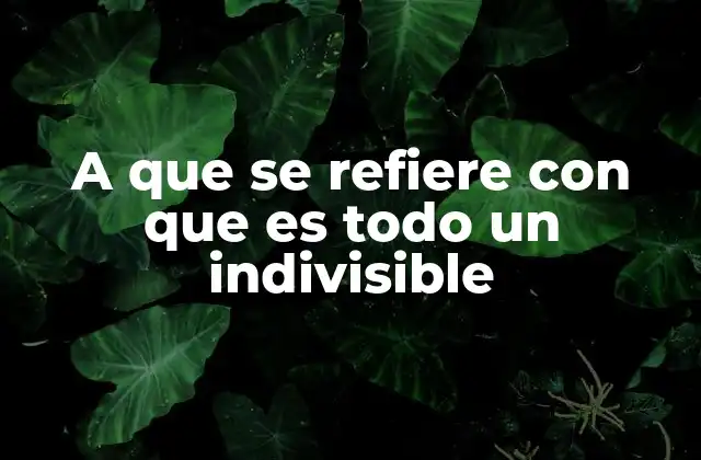 A que Se Refiere con que es Todo un Indivisible