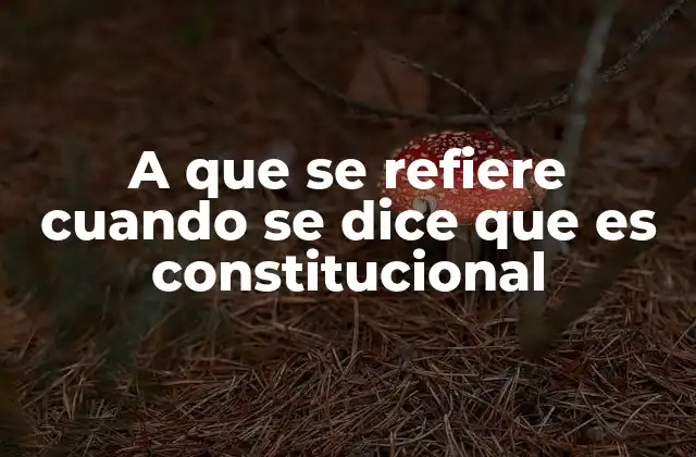 A que Se Refiere Cuando Se Dice que es Constitucional