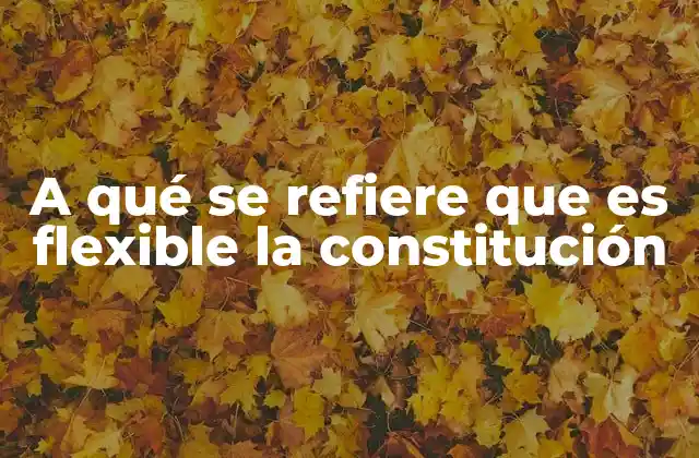 A Qué Se Refiere que es Flexible la Constitución