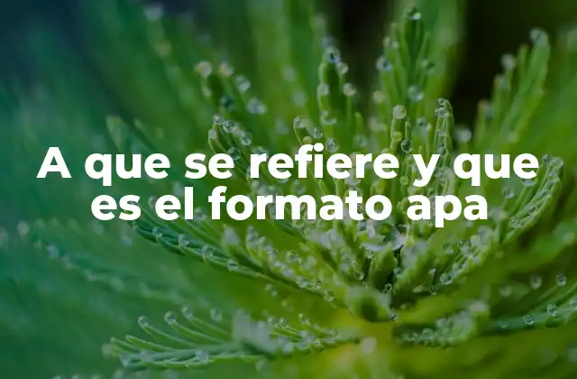 A que Se Refiere y que es el Formato Apa 2 La importancia del estilo APA en la comunicación académica
