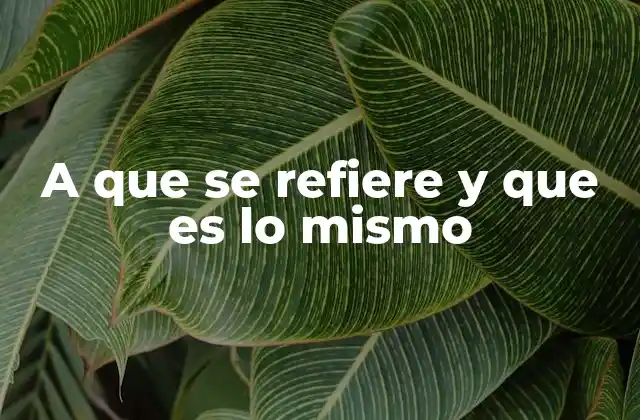 A que Se Refiere y que es Lo Mismo 2 La importancia de aclarar el significado en la comunicación
