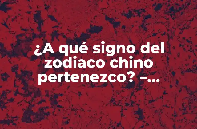 ¿a Qué Signo Del Zodiaco Chino Pertenezco? – Descubre Tu Signo y Personalidad