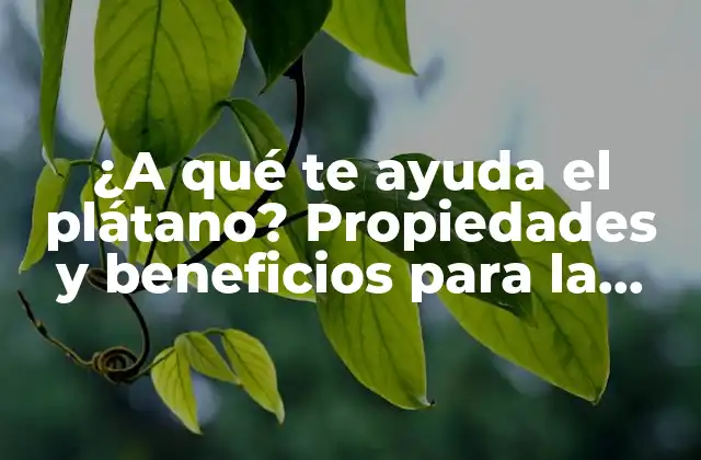 ¿a Qué Te Ayuda el Plátano? Propiedades y Beneficios para la Salud