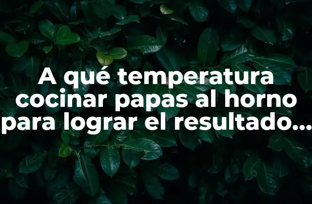 A Qué Temperatura Cocinar Papas Al Horno para Lograr el Resultado Perfecto