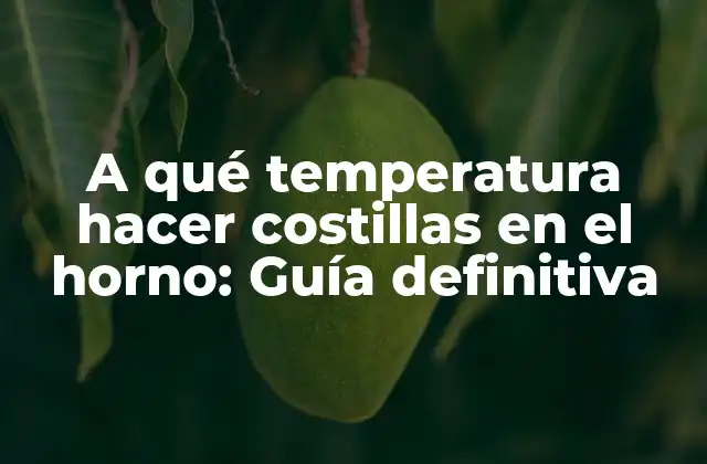 A Qué Temperatura Hacer Costillas en el Horno: Guía Definitiva