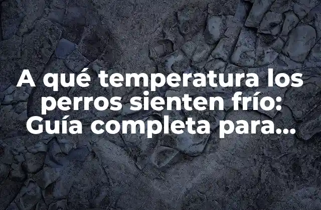 A Qué Temperatura los Perros Sienten Frío: Guía Completa para Proteger a Tu Mascota