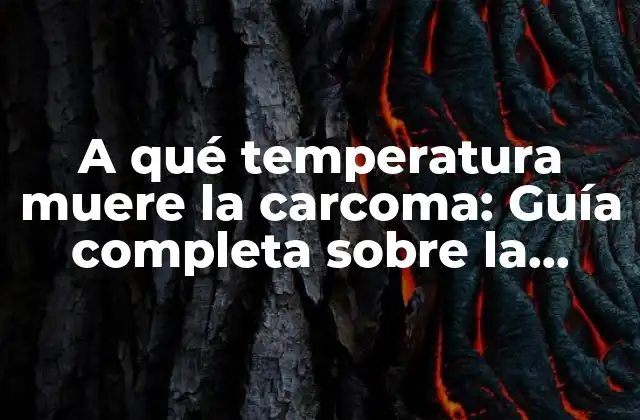 A Qué Temperatura Muere la Carcoma: Guía Completa sobre la Eliminación de la Carcoma