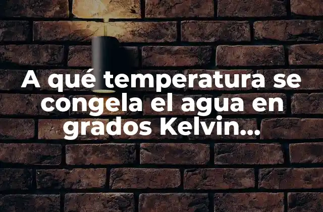 A Qué Temperatura Se Congela el Agua en Grados Kelvin (¿cuántos Grados Kelvin Hace Falta para Congelar el Agua?)