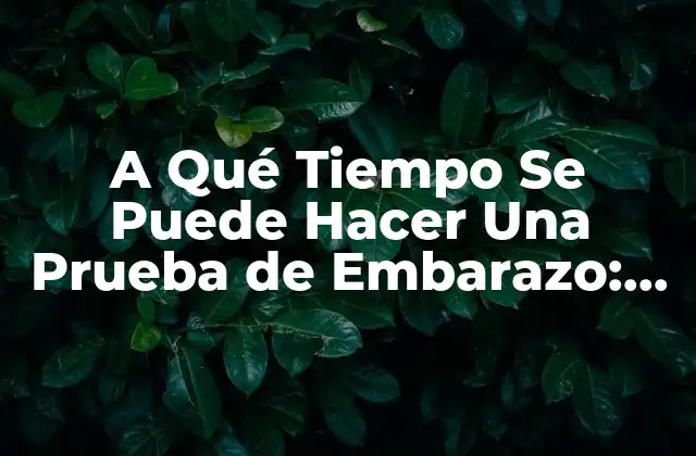 A Qué Tiempo Se Puede Hacer una Prueba de Embarazo: Todo Lo que Necesitas Saber