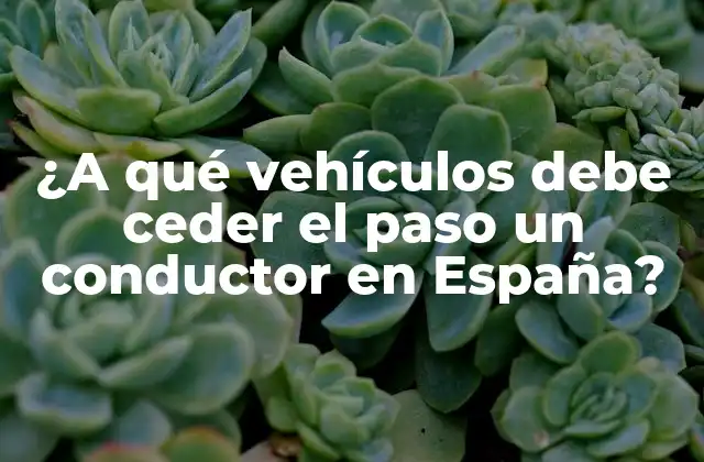 ¿a Qué Vehículos Debe Ceder el Paso un Conductor en España?