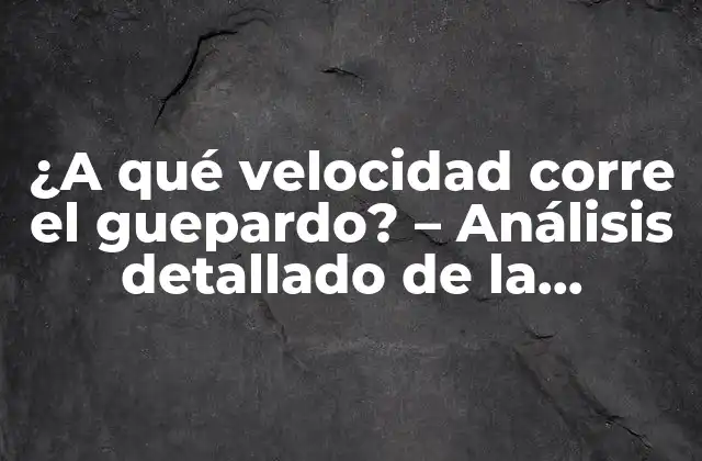 ¿a Qué Velocidad Corre el Guepardo? – Análisis Detallado de la Velocidad Del Animal Más Rápido de la Sabana